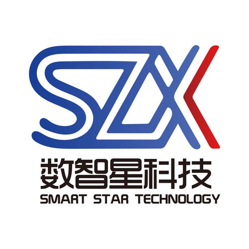 合肥数智星 激活信息价值，赋能数字化转型的智慧引擎