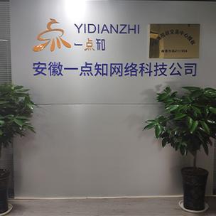 深耕数字沃土，赋能区域发展——安徽一点知网络科技的信息咨询服务之道