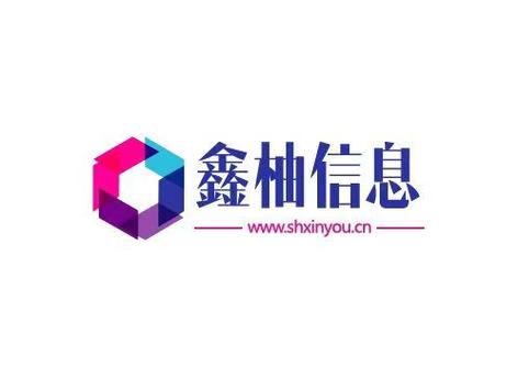 网络,信息科技领域内的技术开发,技术转让,技术咨询,技术服务,软件